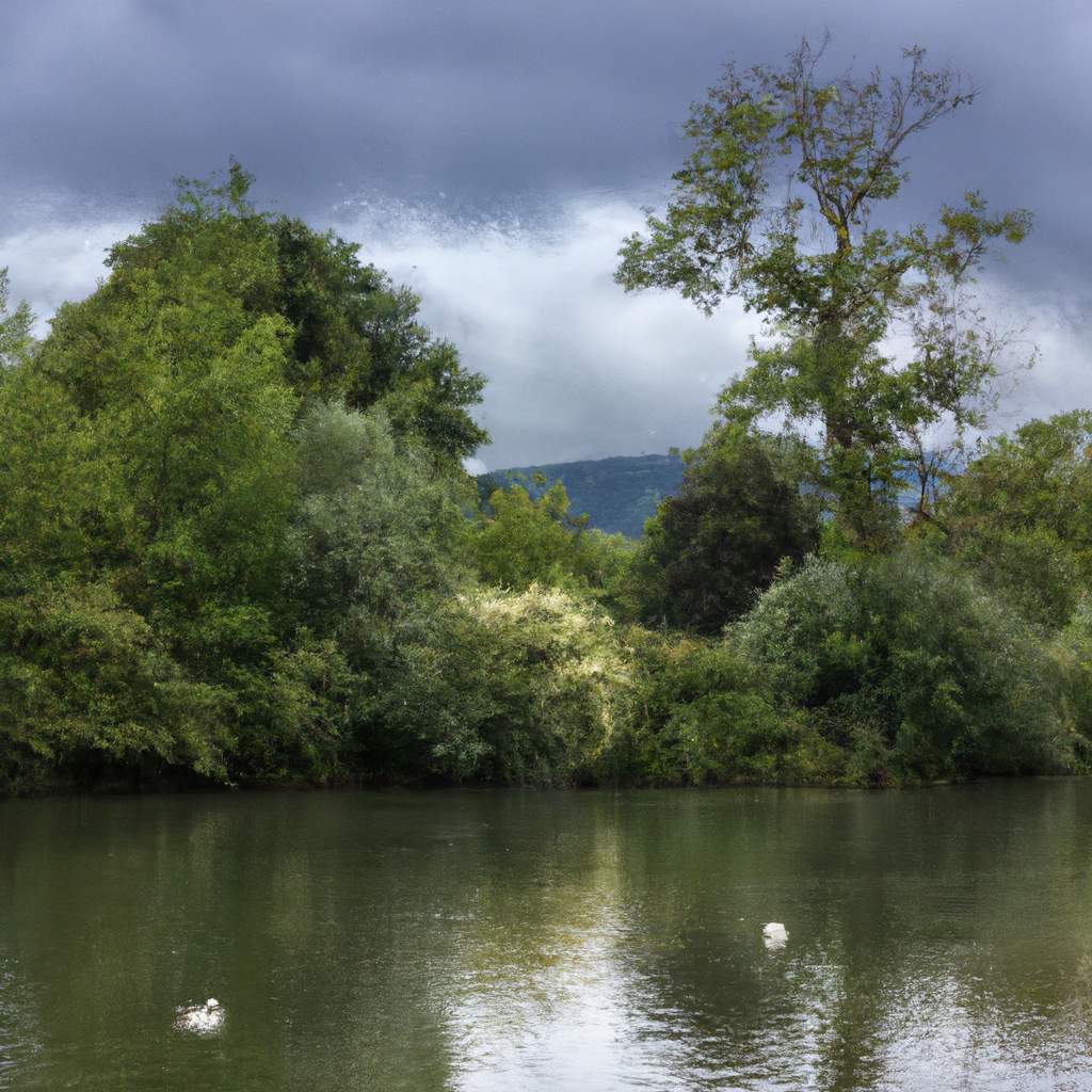 concentrez-vous-pleinement-pourquoi-couper-les-distractions-est-essentiel-lors-dune-seance-de-sophrologie-a-distance